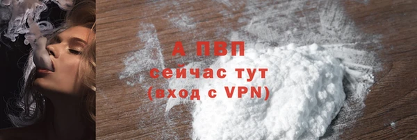 хмурый Туринск