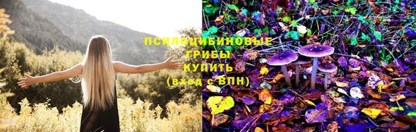 а пвп мука Тында