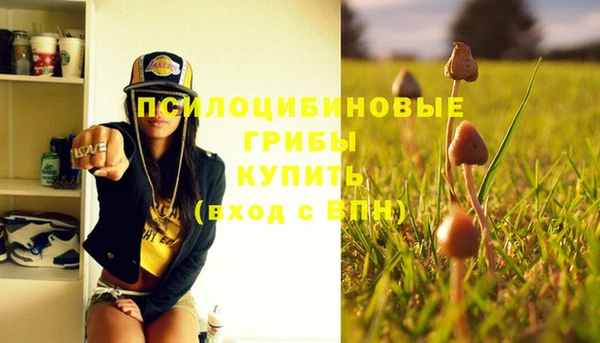 хмурый Туринск